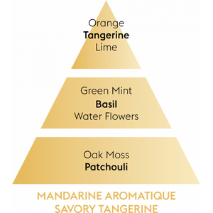 Maison Berger aromaattinen mandariini puhdistusneste 1 リットル
