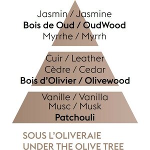 Maison Berger oliivipuun alla puhdistusneste 1 liiter