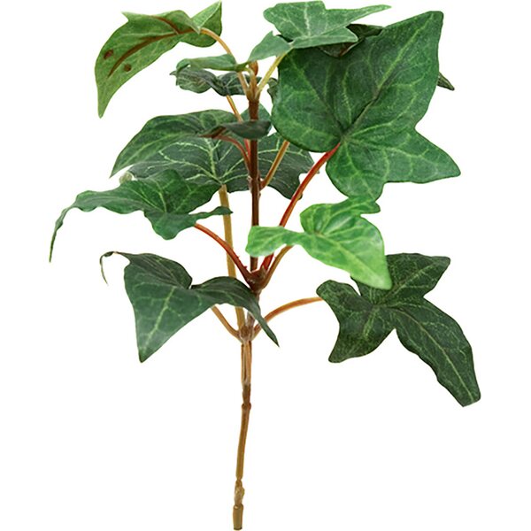 Mr. Plant Muratin oksa