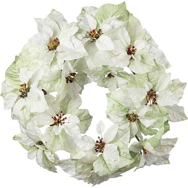 Mr. Plant Eucalyptus wreath
