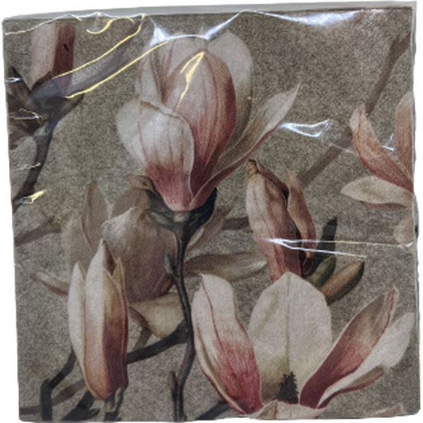 Sköna ting servetti magnolian kuvilla