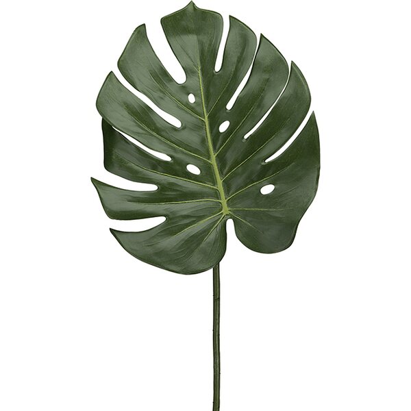 Mr. Plant Peikonlehti, halkaisija 27 cm