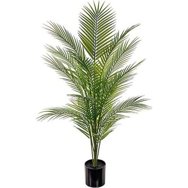 Mr. Plant Vuoripalmu, 110 cm