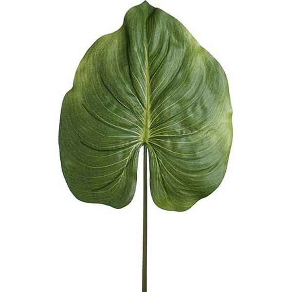 Mr. Plant Peikonlehti, 85 cm