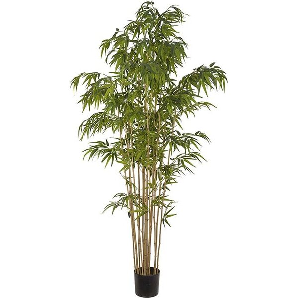 Mr. Plant бамбук, 210 см